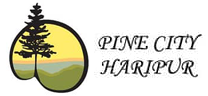 Pine City Society